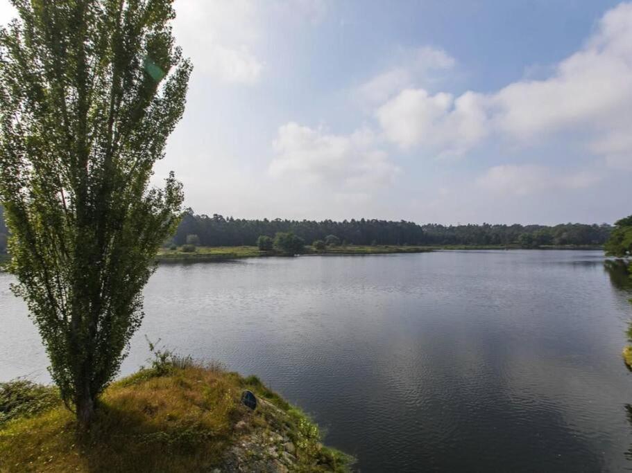 Quinta Da Barca House - Nada Melhor Que Juntar Luxo A Lazer Com Mar E Rio! Esposende Esterno foto